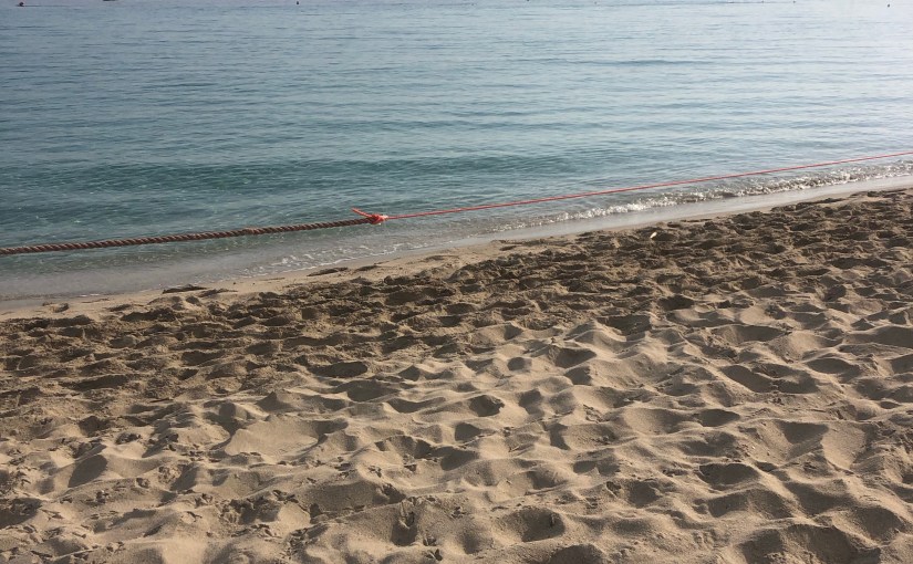 Arrivederci Anima Pura